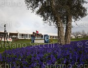 De Simone Teddy TosTour 2013- S4 7305